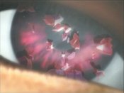 Shadow Hearts: Covenant - Immagine 8