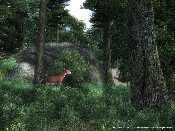 The Elder Scrolls IV: Oblivion - Immagine 2