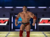 Wrestlemania XXI - Immagine 3