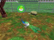 Zoo tycoon 2 - Immagine 12