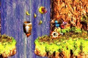 Donkey Kong Country 3 - Immagine 6