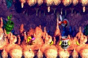 Donkey Kong Country 3 - Immagine 9