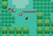 Pokemon Smeraldo - Immagine 2
