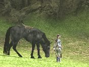 Shadow of the Colossus - Immagine 4