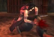 Tenchu: Fatal Shadows - Immagine 2