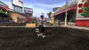 Tony Hawks American Wasteland - Immagine 4