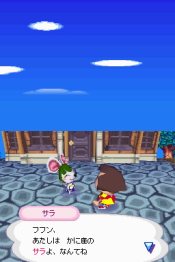 Animal Crossing: Wild World - Immagine 1
