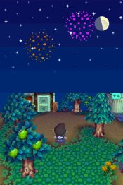 Animal Crossing: Wild World - Immagine 2