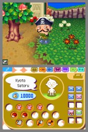 Animal Crossing: Wild World - Immagine 9