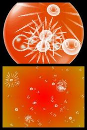 Electroplankton - Immagine 4
