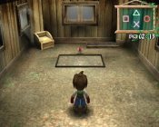 Harvest Moon: a Wonderful Life special edition - Immagine 6