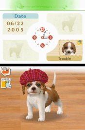 Nintendogs: Dalmata - Immagine 7