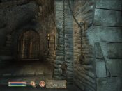 The Elder Scrolls IV: Oblivion - Immagine 2