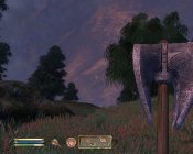 The Elder Scrolls IV: Oblivion - Immagine 8