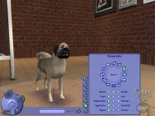The Sims 2 - Pets - Immagine 11