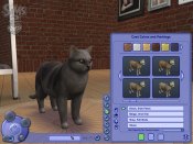 The Sims 2 - Pets - Immagine 12
