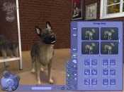 The Sims 2 - Pets - Immagine 10