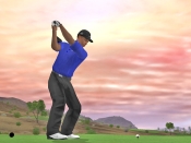 Tiger Woods PGA Tour 07 - Immagine 2