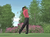 Tiger Woods PGA Tour 07 - Immagine 6