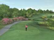 Tiger Woods PGA Tour 07 - Immagine 7