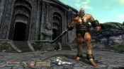 The Elder Scrolls IV: Shivering Isles - Immagine 4