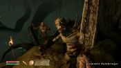 The Elder Scrolls IV: Shivering Isles - Immagine 6