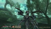 The Elder Scrolls IV: Shivering Isles - Immagine 7