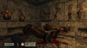 The Elder Scrolls IV: Shivering Isles - Immagine 9