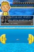 Dolphin World - Immagine 1
