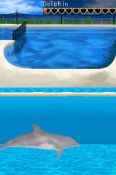 Dolphin World - Immagine 2