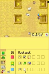 Harvest Moon - Immagine 9