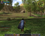 Lord of the Rings Online: Shadows of Angmar - Immagine 6