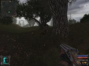 S.T.A.L.K.E.R. - Immagine 8