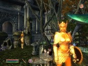 The Elder Scrolls IV: Shivering Isles - Immagine 3