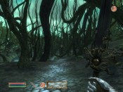 The Elder Scrolls IV: Shivering Isles - Immagine 4