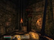 The Elder Scrolls IV: Shivering Isles - Immagine 5