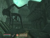 The Elder Scrolls IV: Shivering Isles - Immagine 8