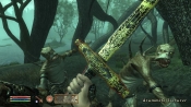 The Elder Scrolls IV: Shivering Isles - Immagine 5