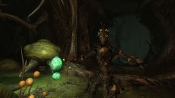 The Elder Scrolls IV: Shivering Isles - Immagine 6