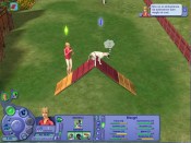 The Sims: Pet Stories - Immagine 9