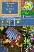 Viva Piata  Pocket Paradise - Immagine 3