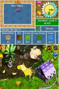 Viva Piata  Pocket Paradise - Immagine 4