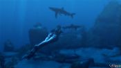 Tomb Raider: Underworld - Immagine 2