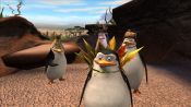 Madagascar 2: Escape to Africa - Immagine 1