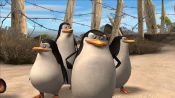 Madagascar 2: Escape to Africa - Immagine 9