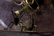 Deadly Creatures - Immagine 7