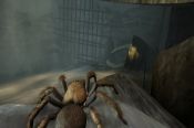 Deadly Creatures - Immagine 9