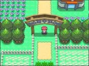 Pokmon Platino - Immagine 1