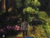 Risen - Immagine 11