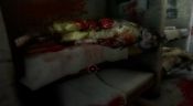 Resident Evil: The Darkside Chronicles - Immagine 3